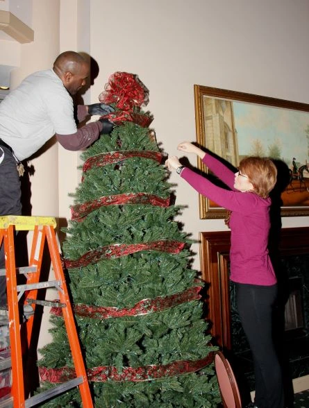 setting up christmas tree