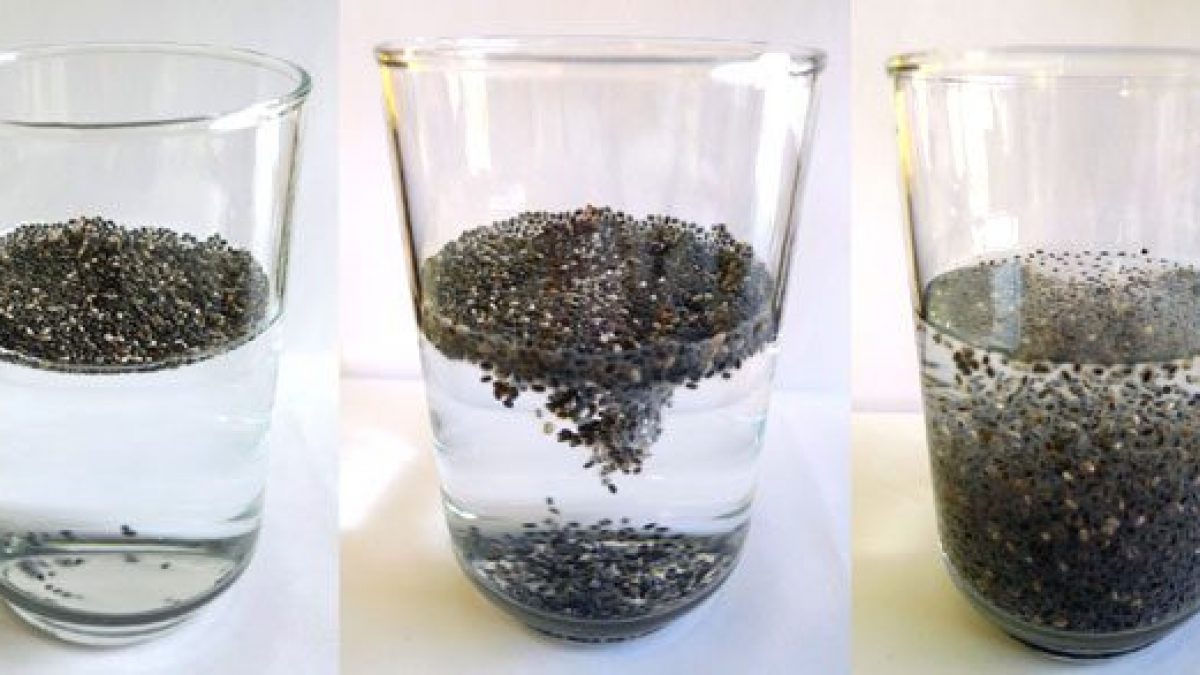 Can You Eat Chia Sprouts Bazaarstory