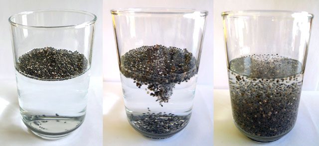 Chia-seeds