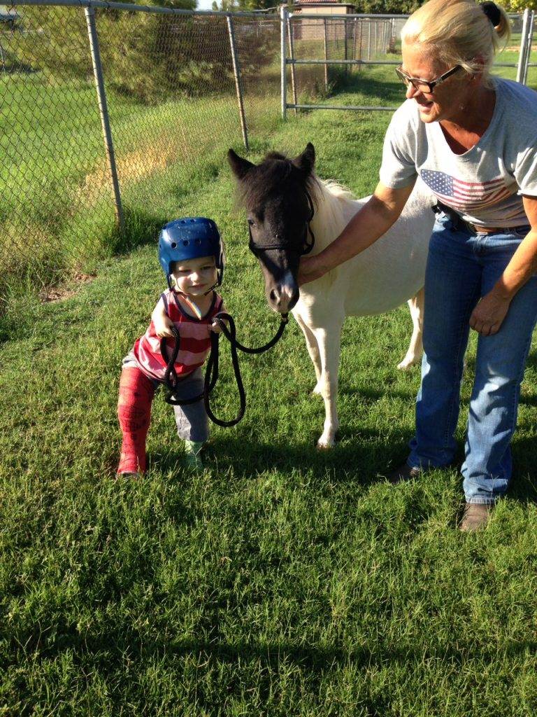 therapy miniature horses