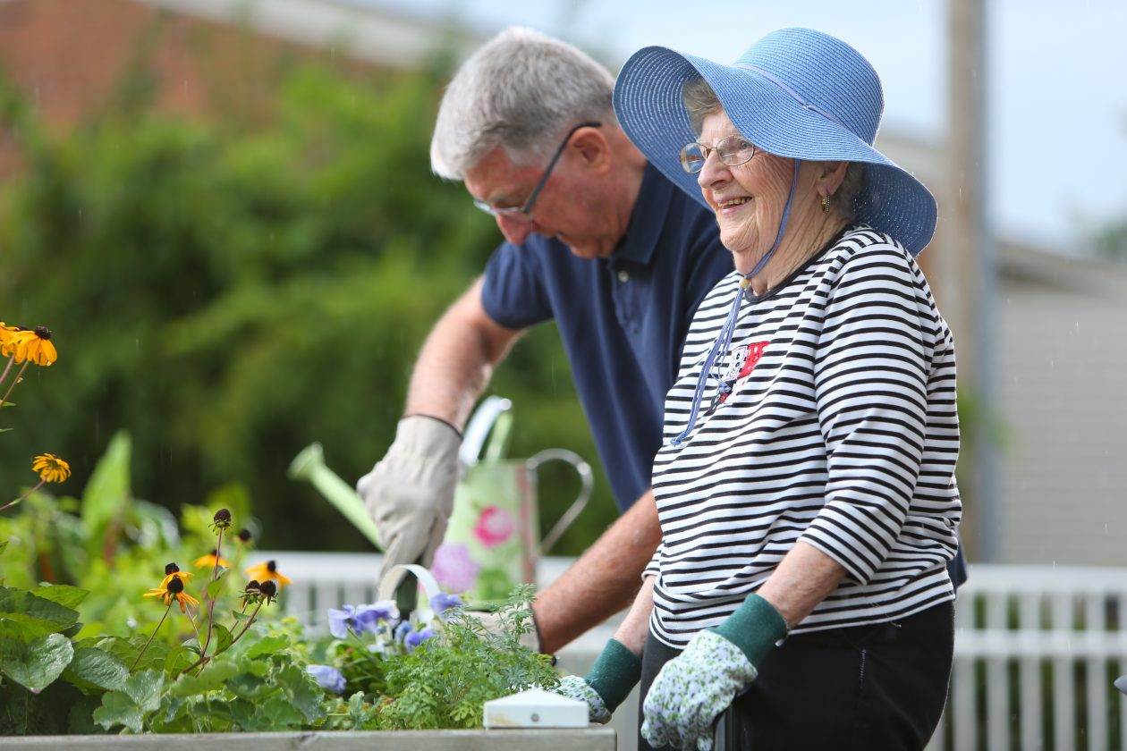 watering plants