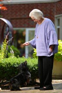 dog getting a treat