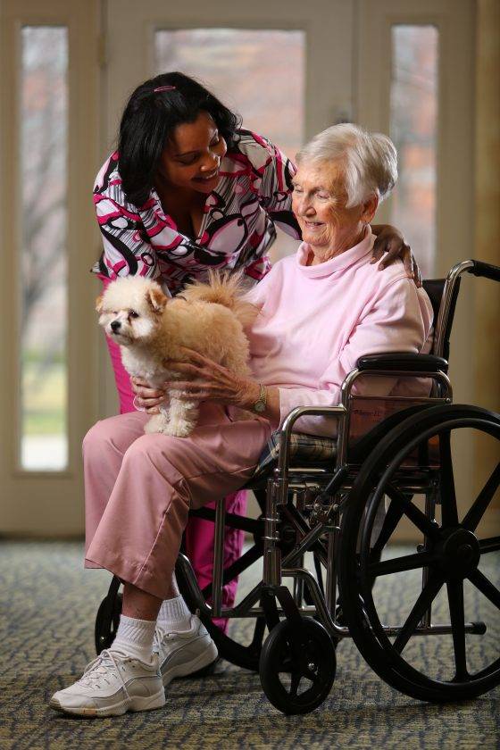 woman in wheelchair with dog