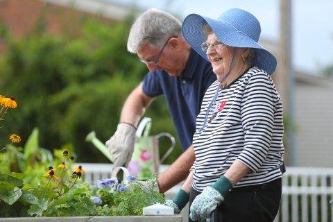 seniors gardening