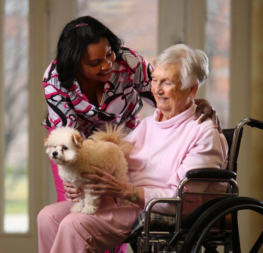 Women-dog-and-nurse