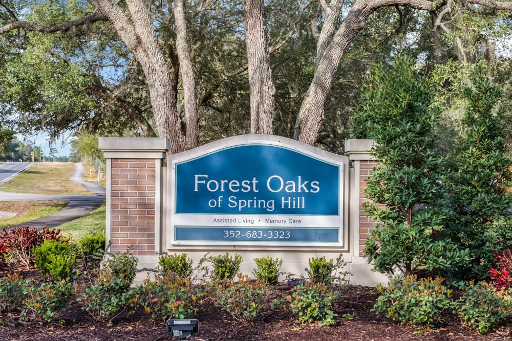 Forest oaks of spring hill