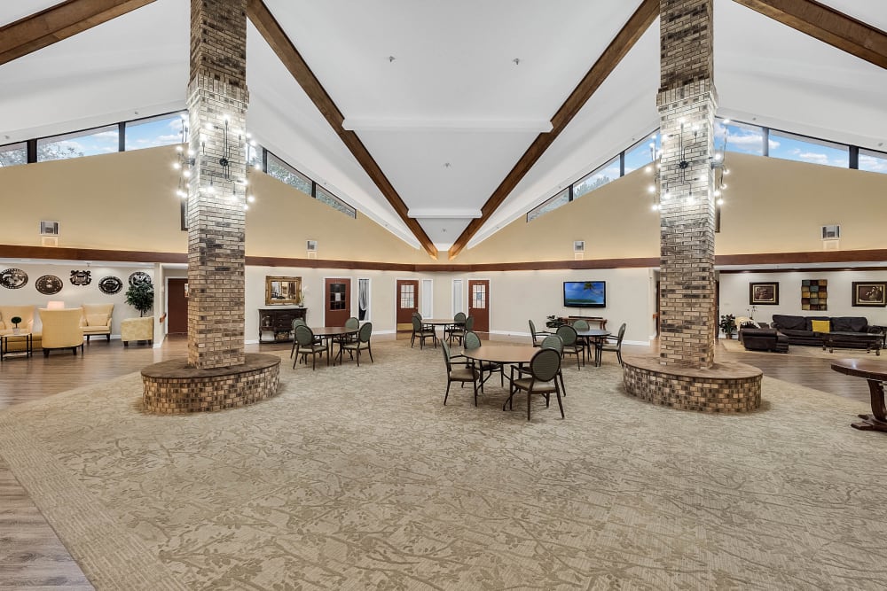 Forest oaks of spring hill