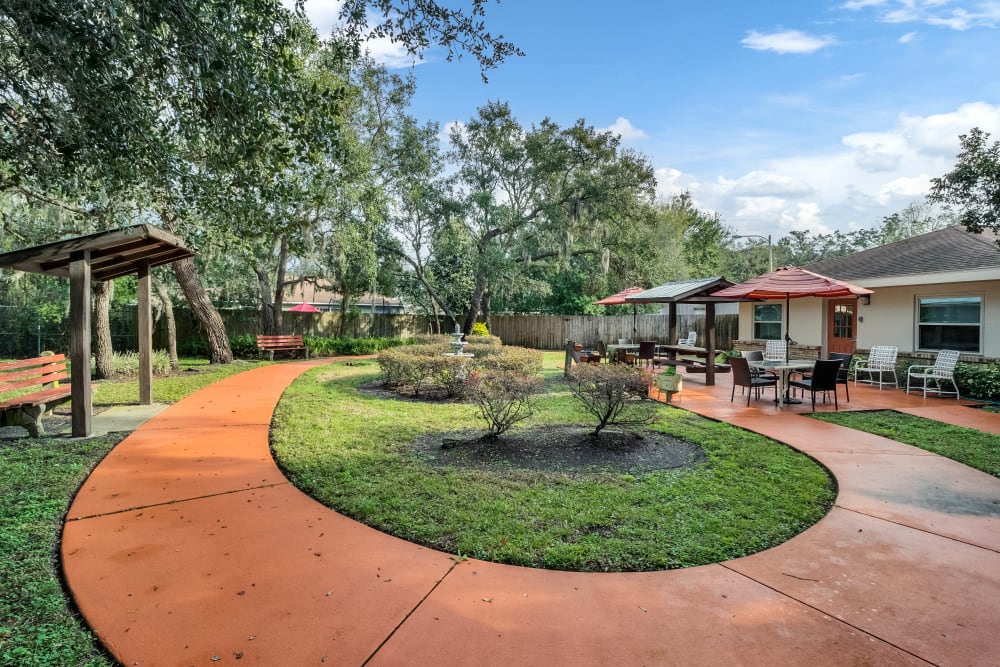 Forest oaks of spring hill