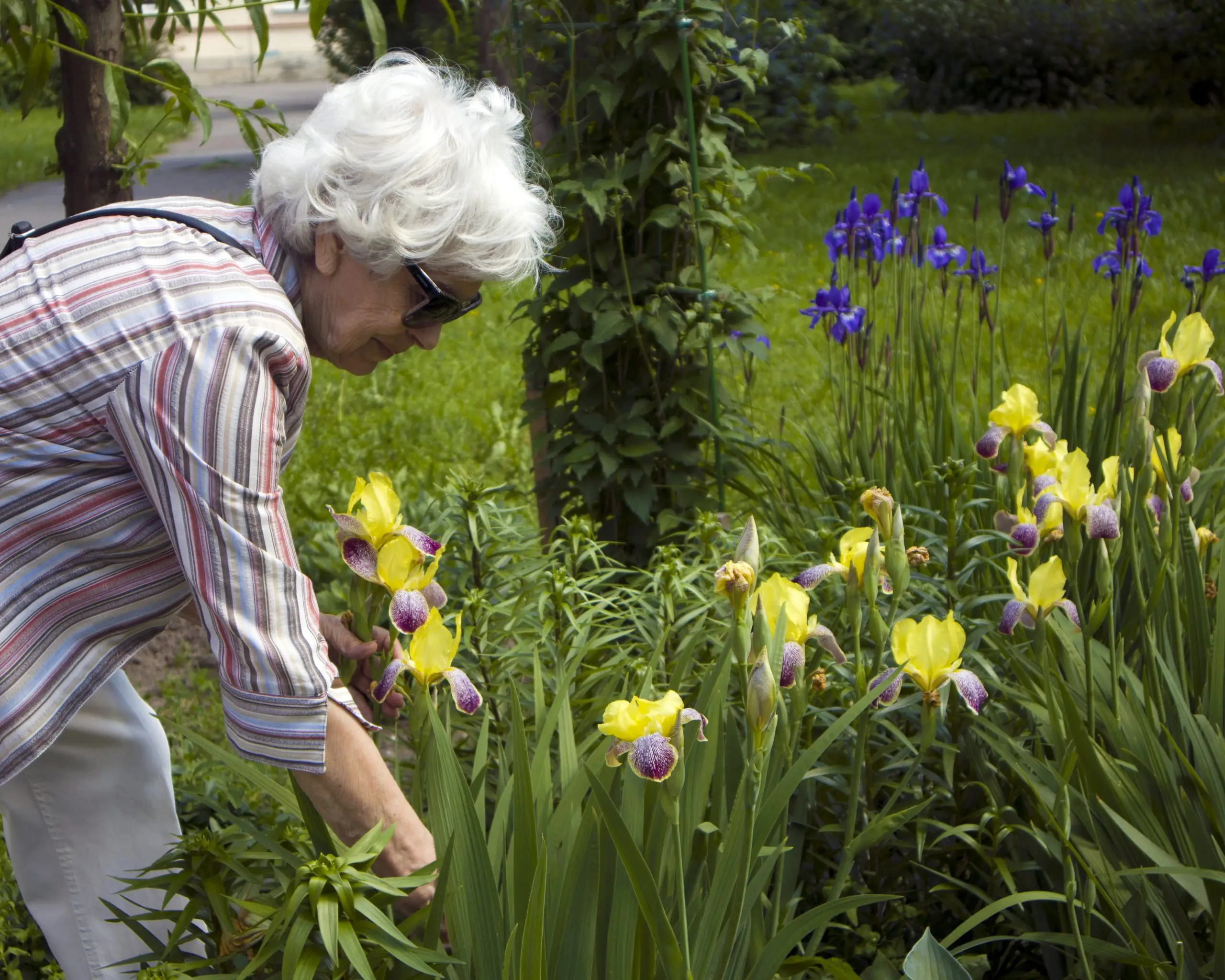 8 Activities for Vision-Impaired Older Adults & Elderly