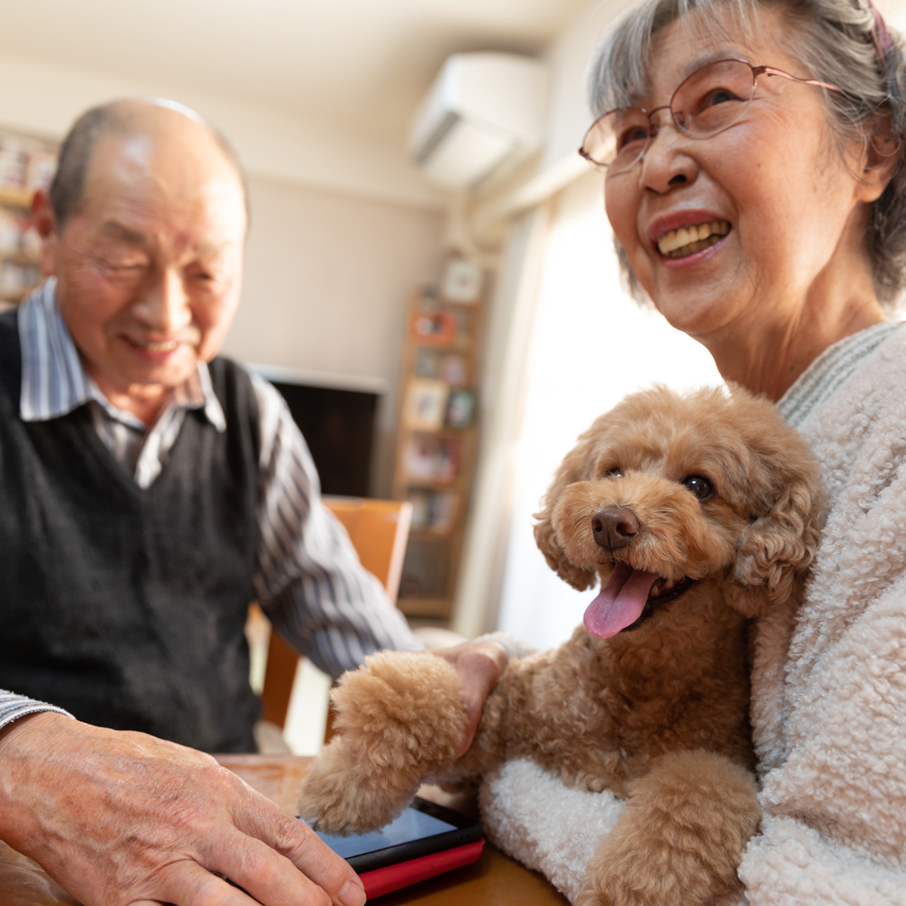 What is affordable senior housing?