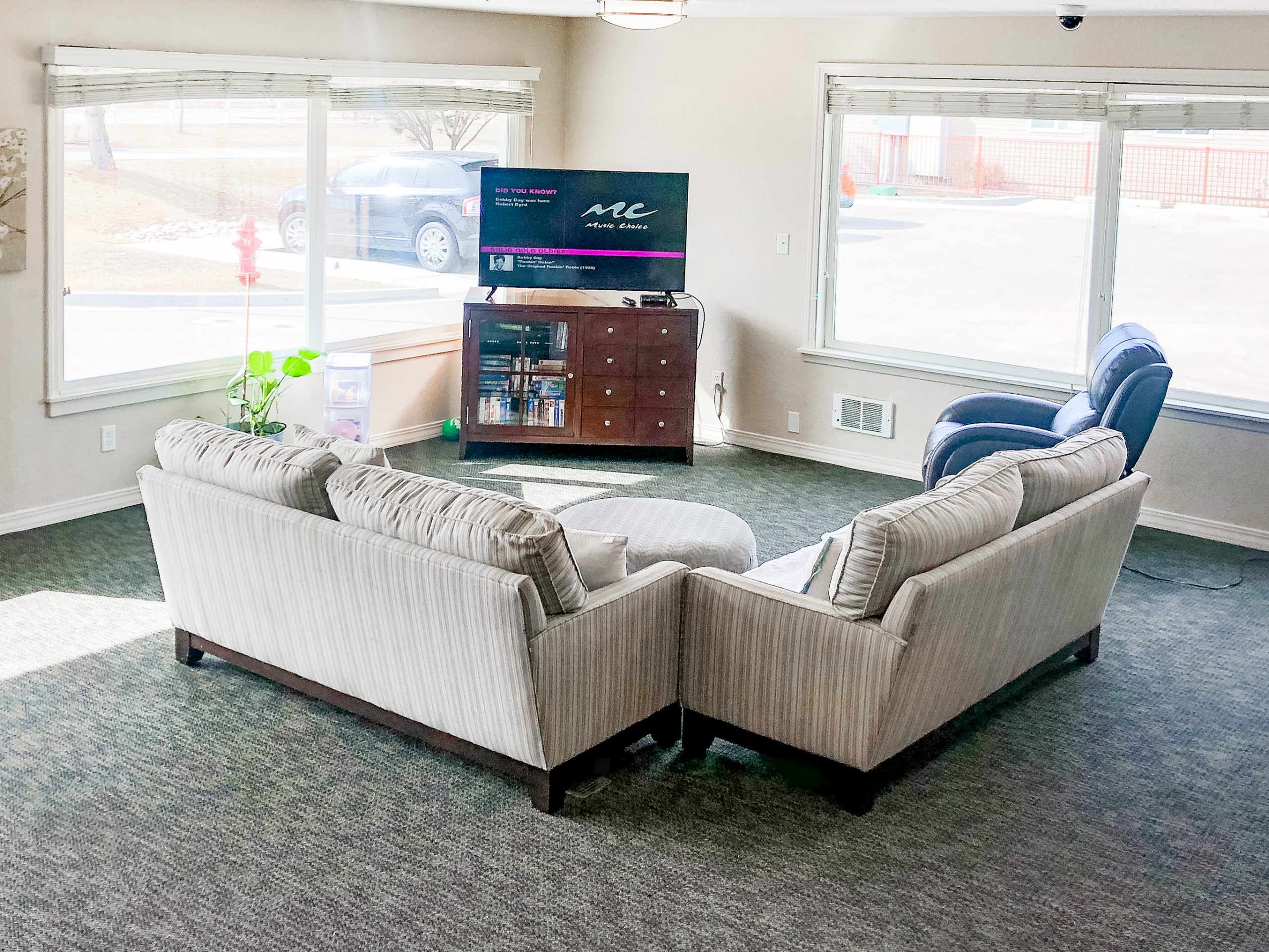 Copper springs shared living area with TV