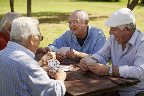 What are my senior lifestyle options?