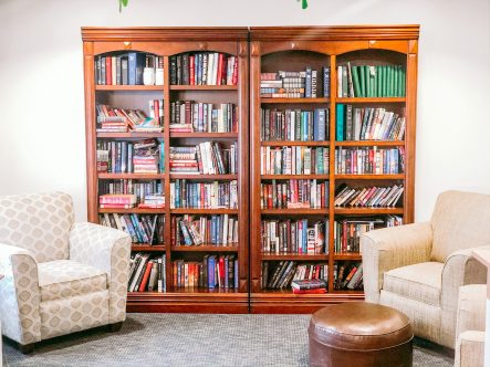 Copper springs community book case and living area