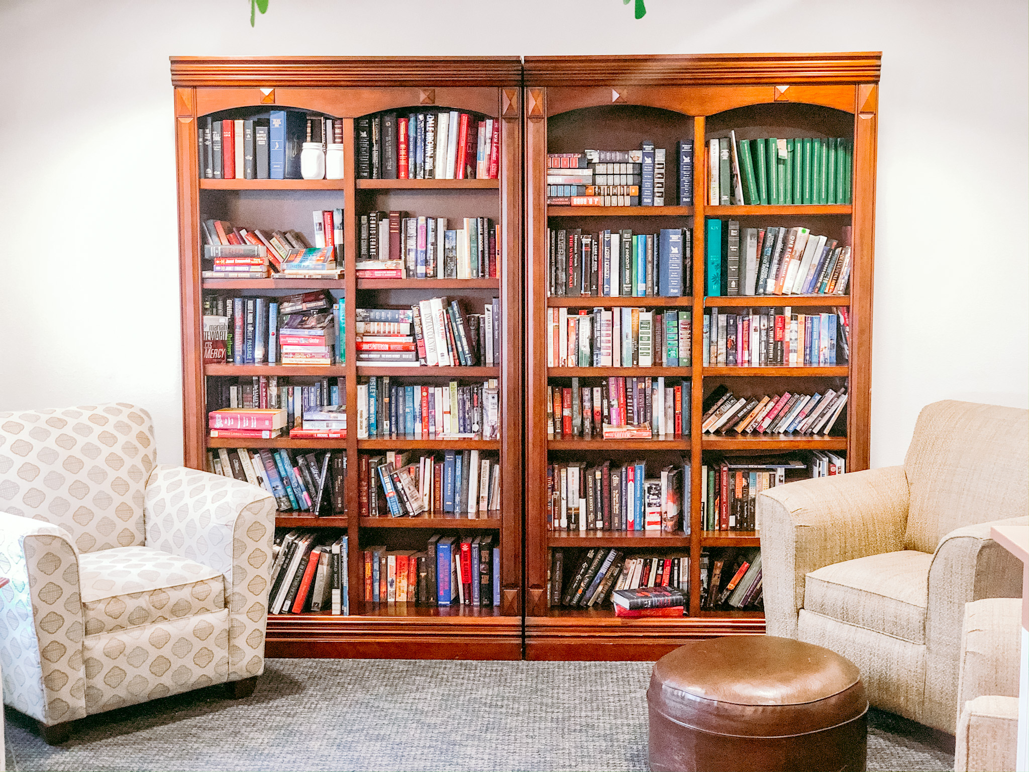 Copper springs community book case and living area