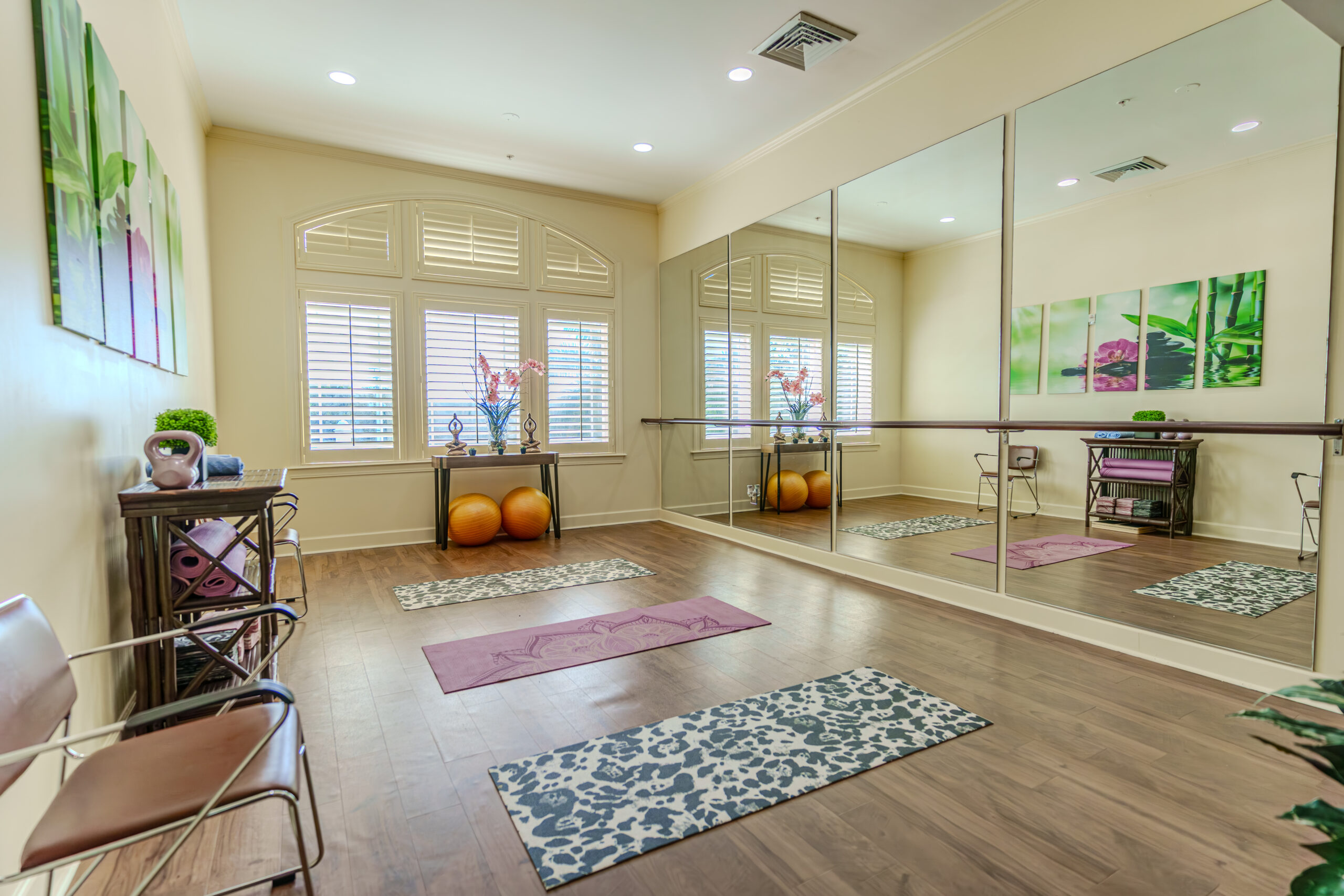 dance studio and gym
