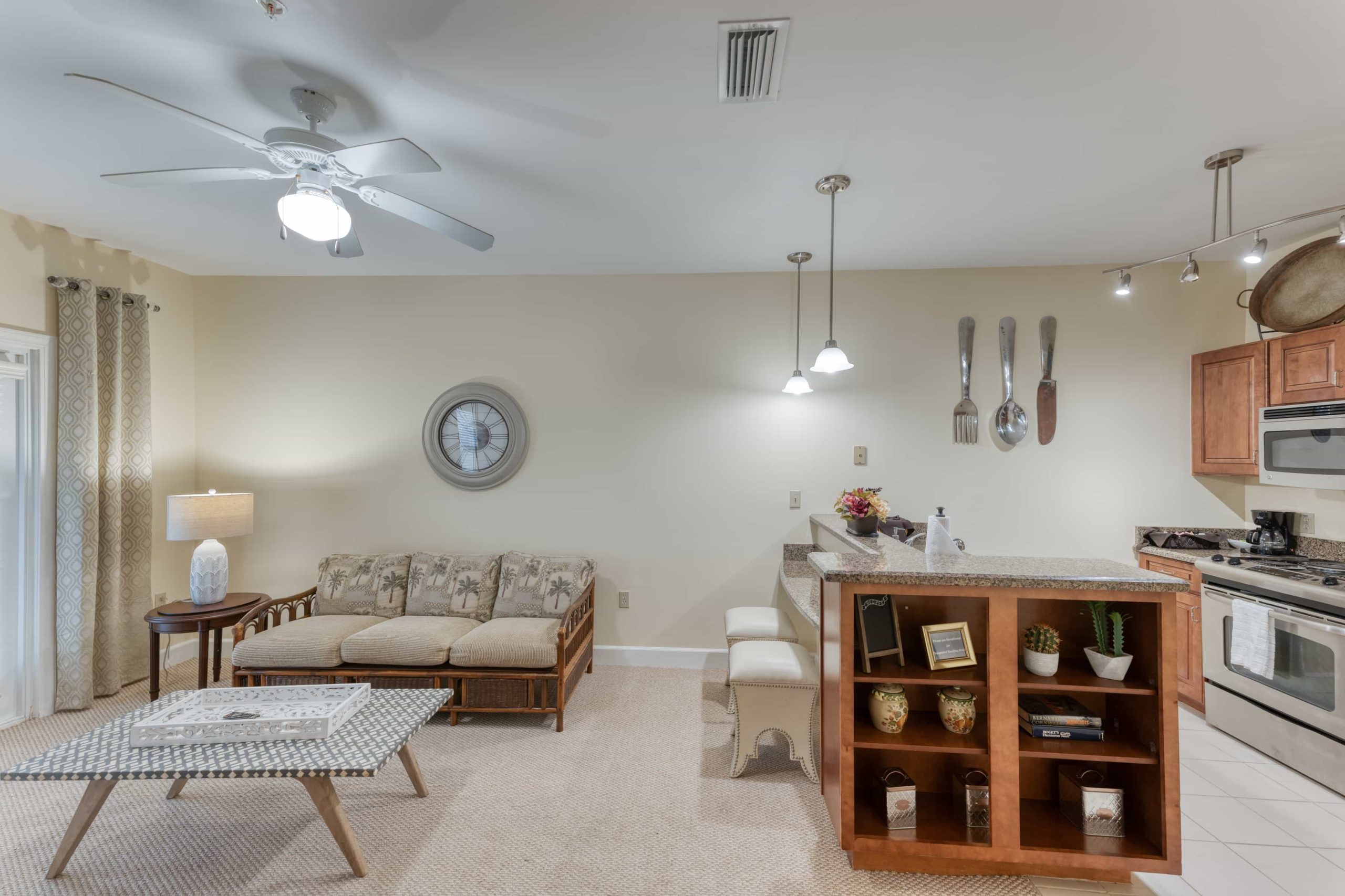 Living room and kitchen