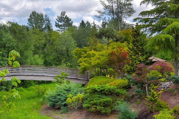 The Wood Bridge at Tsuru Island Japanese Garden is a popular tourist site in Gresham, Oregon.