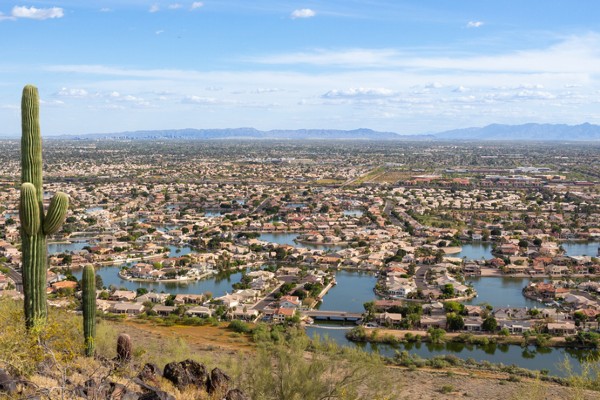 A saguaro cactus looks down on the Phoenix suburb of Glendale.