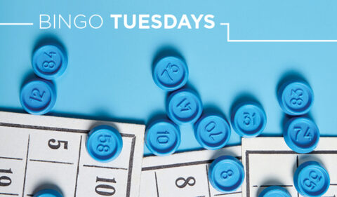 SLC SASP 2226367 BingoTuesday HERO
