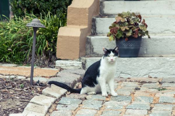 Image of A Day in the Life of Assisted Living in Oak Pointe