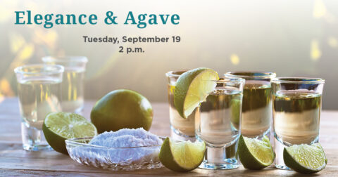 SLC MDLA 2741500 AgaveElegance HERO 091923 2pm V3 SLC MDLA 2741500 AgaveElegance HERO 091923 2pm V3