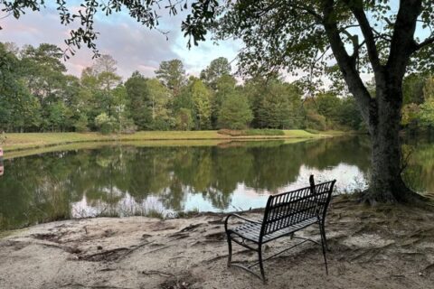 A bench awaits visitors at one of the many lakes in and around Alpharetta, GA.