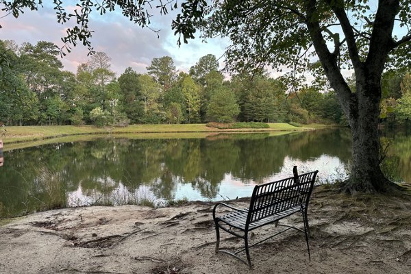 A bench awaits visitors at one of the many lakes in and around Alpharetta, GA.