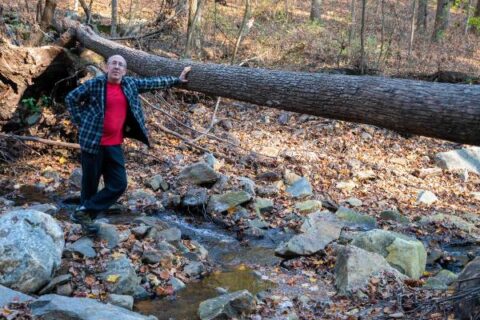 A senior man leans on a fallen tree along a hiking trail in Pennsylvania.