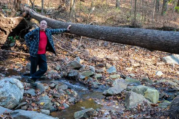 A senior man leans on a fallen tree along a hiking trail in Pennsylvania.