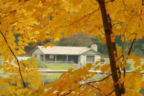 A cabin seen through the trees in Youngstown shows off the beautiful nature surrounding the area.