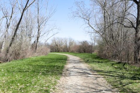 A walking trail winds down one of the many public parks in Greece, NY.