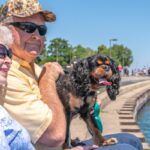 Fun Things for Seniors to Do in Lake Zurich, IL
