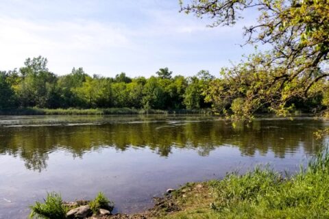 Black Creek features a lovely walking trail next to water.