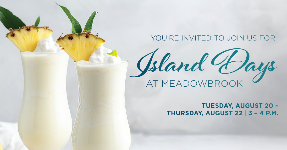 SLC MEAD 3392394 IslandDays calendarl v1