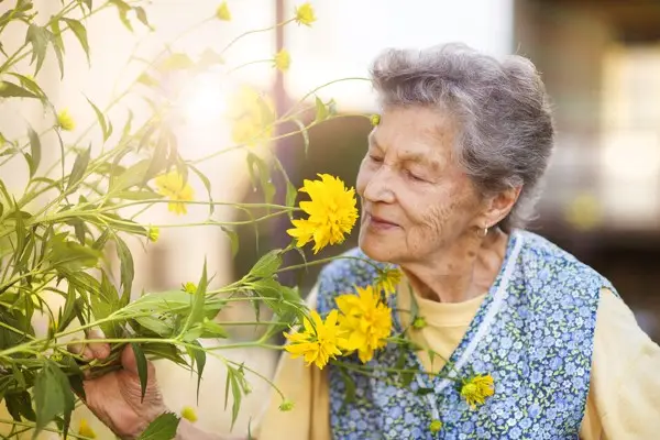 Experience Nature: How Seniors Can Experience the Beauty of Nature
