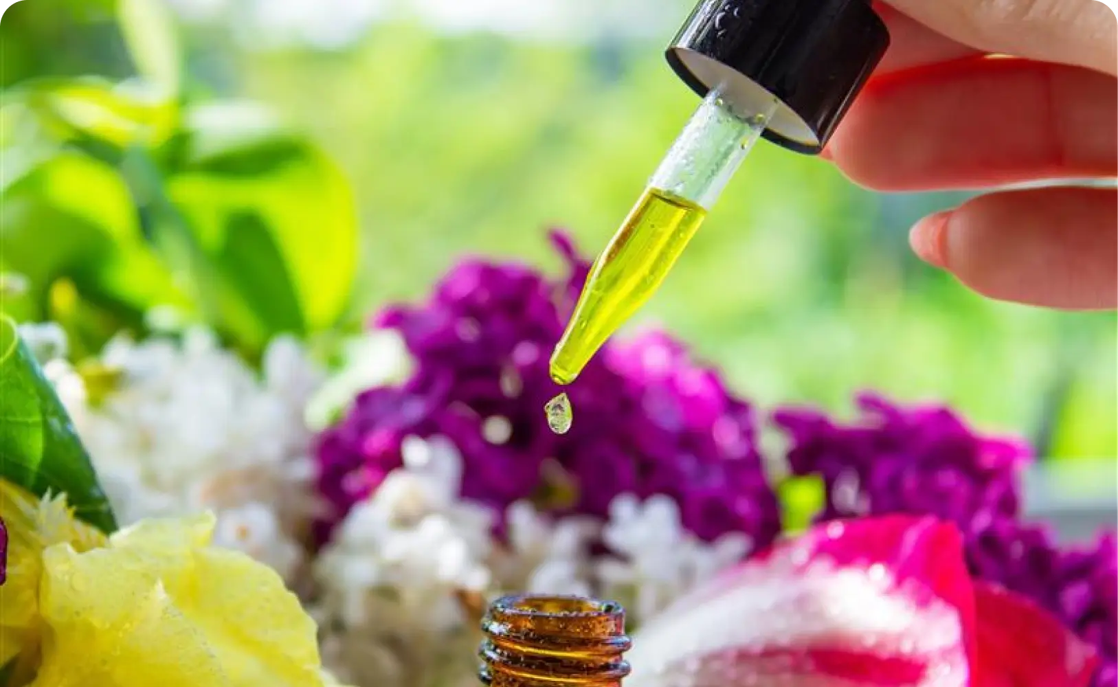 Wellness_Essential_Oils_Flowers