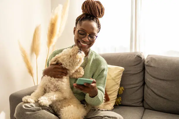 Focused cute stylish African American female student, studying remotely from home, using a mobile phone, taking notes on notebook during online lesson, e-learning concept. Her doggie is relaxing next to her