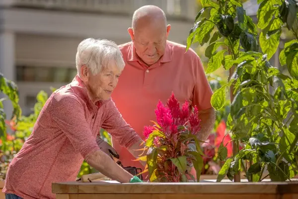 A senior couple tends to a garden.