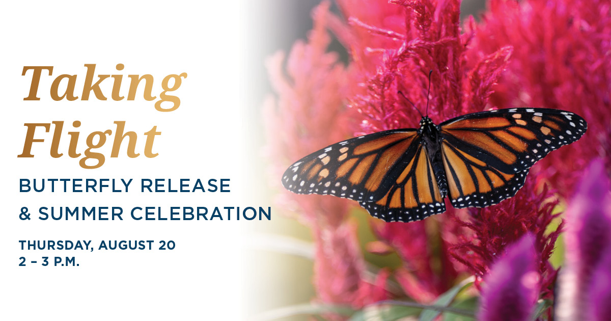 senior lifestyle addington place of jupiter jupiter tx event taking flight calendar senior lifestyle addington place of jupiter jupiter tx event taking flight calendar